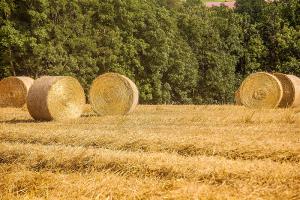 Vilice za bale Transfer in Transfer Supra - Gorenc