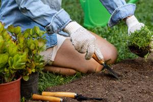Organski načini nadzora nad škodljivci - Gorenc.si