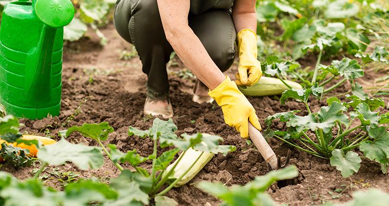 Obvladovanje plevela - Gorenc.si