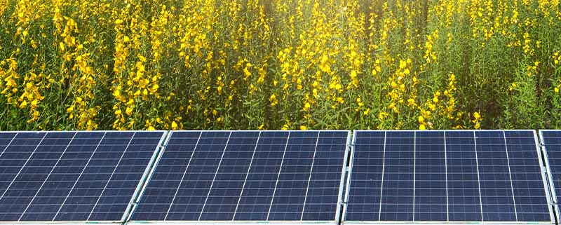 Sončna energija na kmetijah – prihodnost kmetijstva? - Gorenc.si