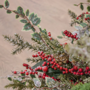 Praznični čar na podeželju - naravne božične okrasitve, Gorenc.si