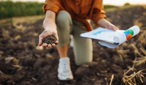 Analiza tal - Gorenc.si