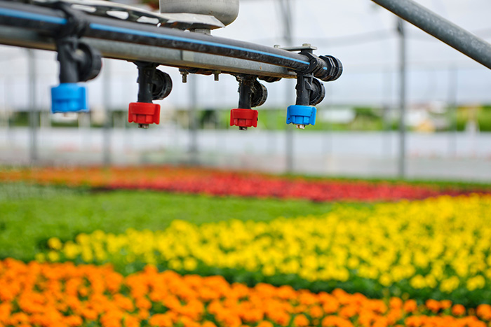Obvladovanje vodnih virov na kmetiji: tehnike za učinkovito upravljanje