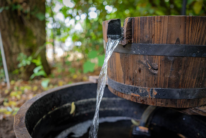 Obvladovanje vodnih virov na kmetiji: tehnike za učinkovito upravljanje