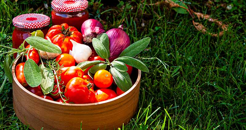 Milijon evrov za promocijo kakovostnih izdelkov slovenskega podeželja