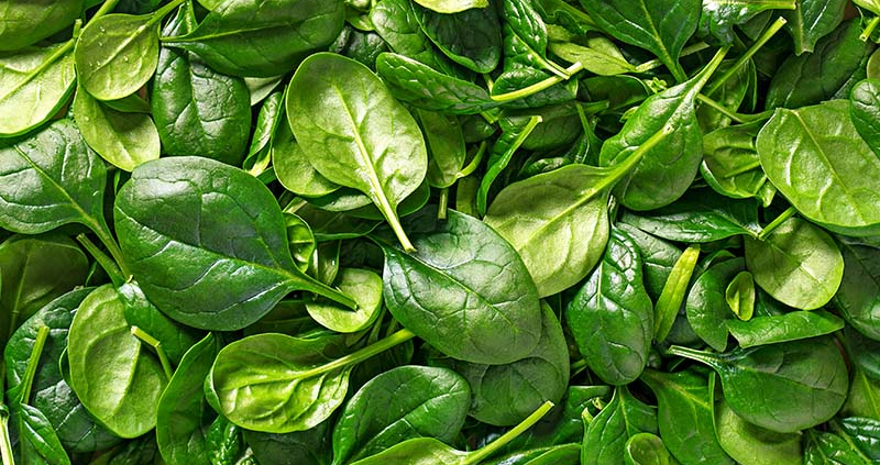 Kaj sejemo konec septembra - Gorenc.si