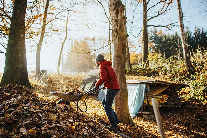 Jesensko pripravljene gredice