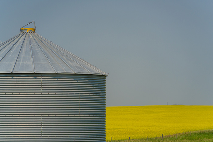 Zimska vlaga in plesen v skladiščih