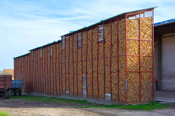 Zimska vlaga in plesen v skladiščih