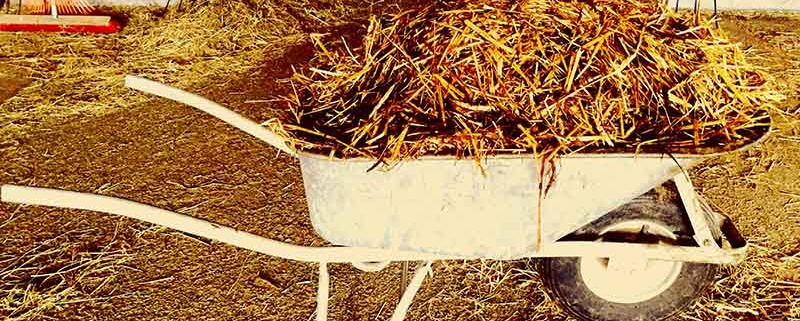 Gnojenje pokritih gredic