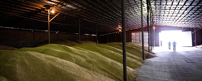 Zimska vlaga in plesen v skladiščih