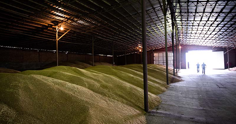 Zimska vlaga in plesen v skladiščih