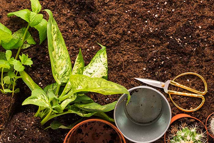 Nova direktiva EU o zdravju tal