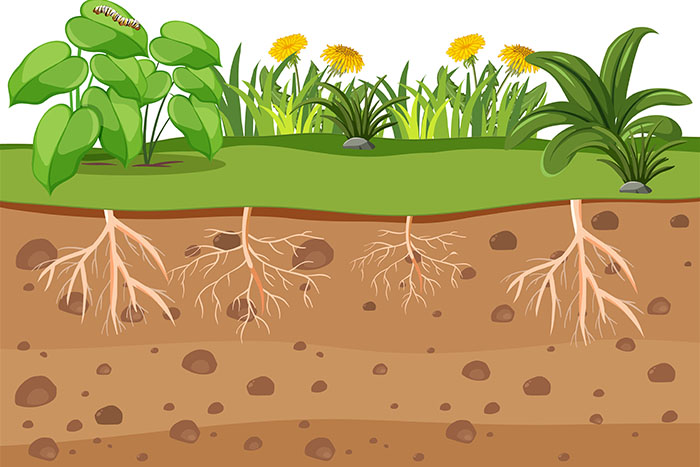 Nova direktiva EU o zdravju tal