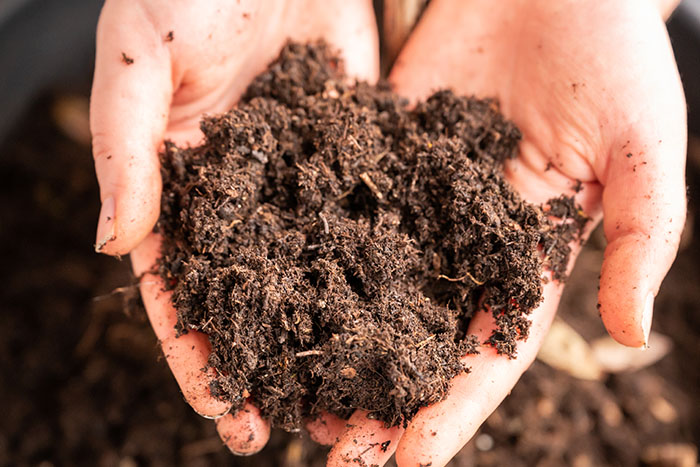 Nova direktiva EU o zdravju tal