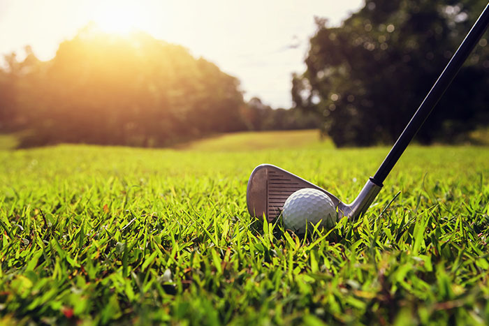 Travniška brana Graser – vsestranski priključek za nego travnih površin