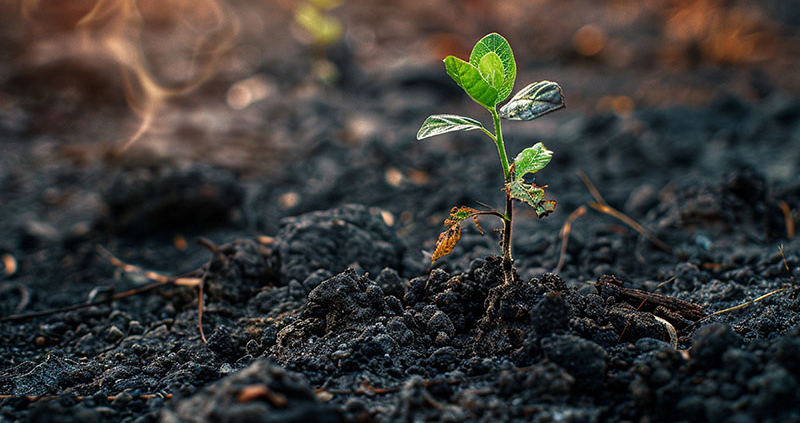 Nova direktiva EU o zdravju tal