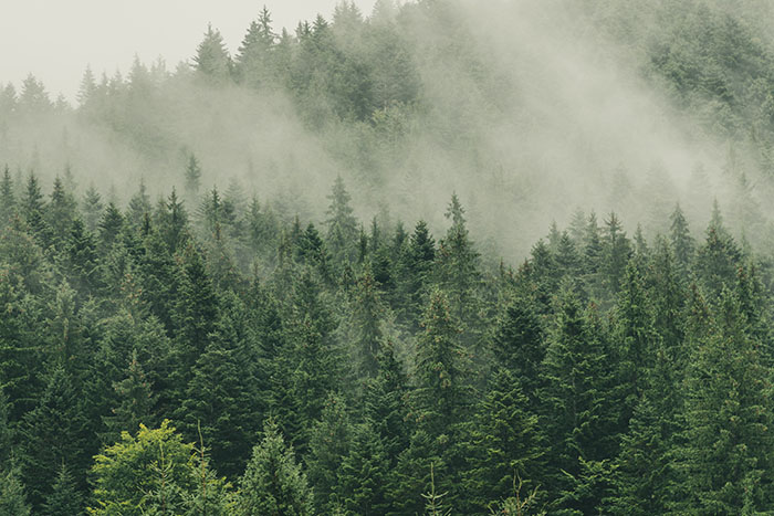 Razpis IRP07 - subvencije