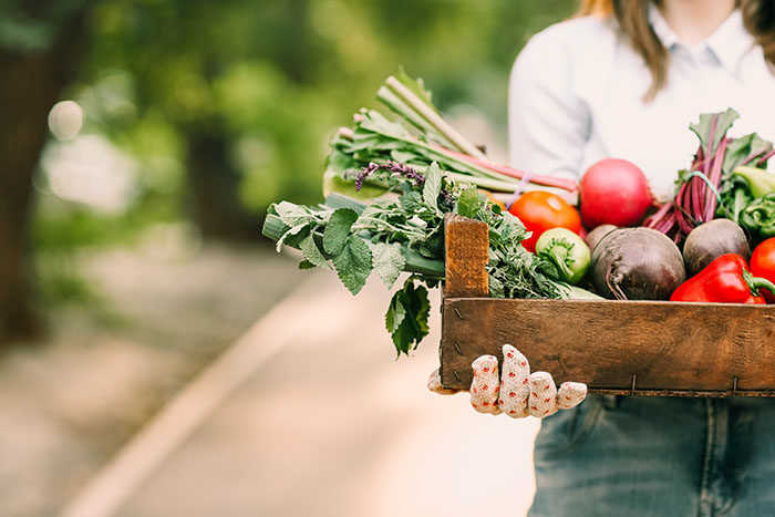 Kako letos pristopiti k certificiranemu ekološkemu kmetovanju
