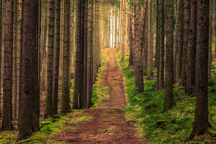 Razpis IRP07 - subvencije