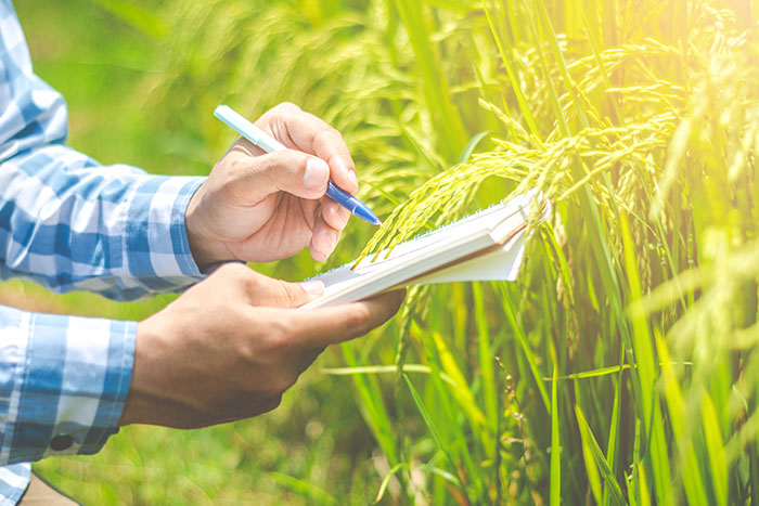Ekološko kmetovanje