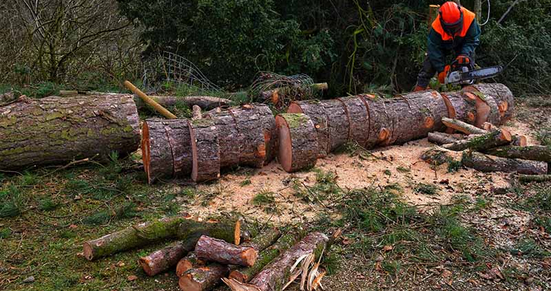 Razpis IRP07 - subvencije