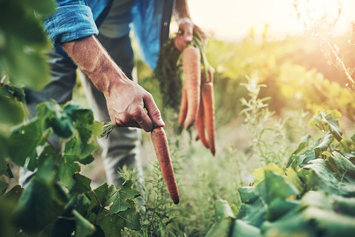 Eurobarometer o kmetijstvu v EU