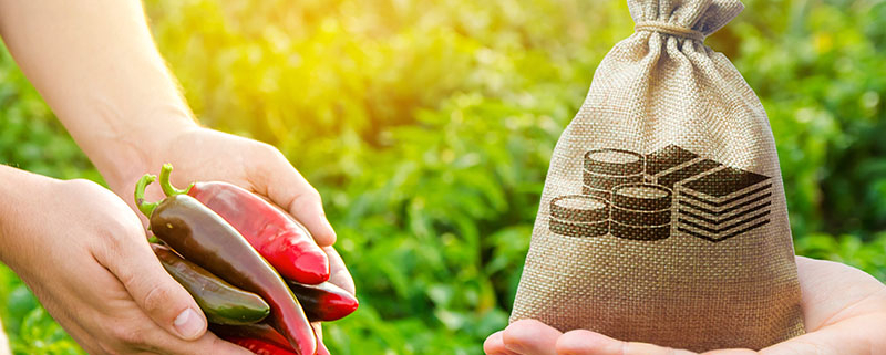 slovensko kmetijstvo v letu 2026