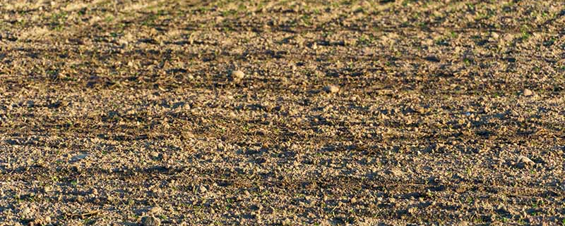 Priprava tal na setev